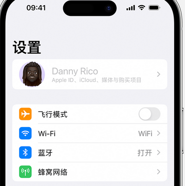 什运乡appleID维修服务iPhone设置中Apple ID显示为灰色无法使用