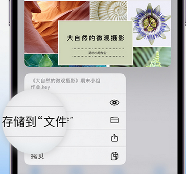 什运乡apple维修中心分享iPhone文件应用中存储和找到下载文件