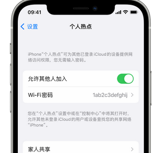 什运乡apple服务站点分享iPhone上个人热点丢失了怎么办 