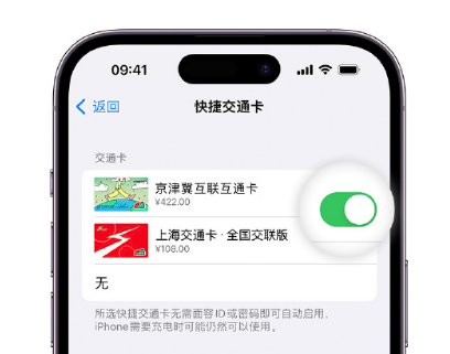 什运乡apple维修点分享iPhone上更换Apple Pay快捷交通卡手绘卡面 