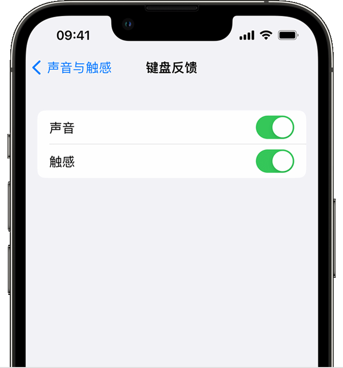 什运乡苹果14维修店分享如何在 iPhone 14 机型中使用触感键盘 