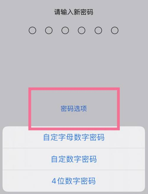 什运乡苹果14维修分享iPhone 14plus设置密码的方法 