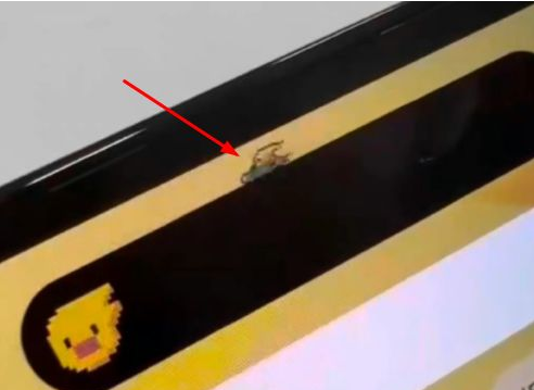 什运乡苹果14维修分享iPhone 14 Pro Max灵动岛怎么养宠物 