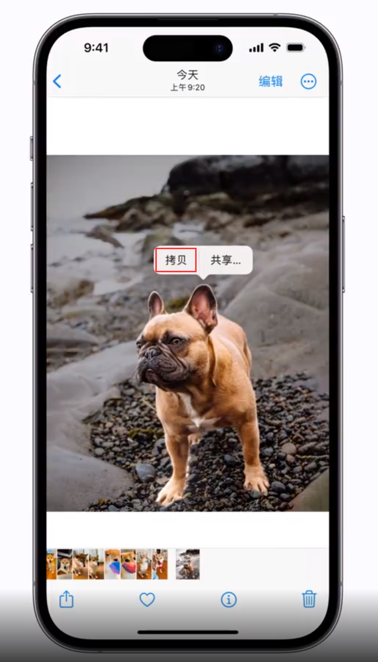 什运乡苹果手机维修分享 iOS 16 自带一键抠图功能 
