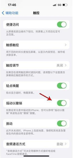 什运乡苹果手机维修分享iPhone手机如何设置摇一摇删除文字 