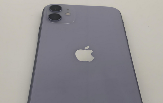 什运乡苹果11系统维修分享iPhone11手机系统崩溃无法开机如何解决 